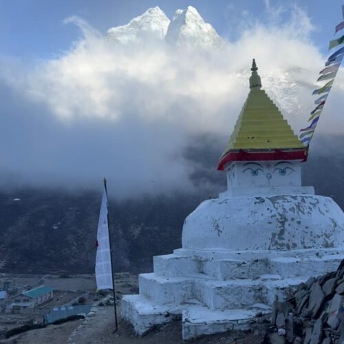 WhatsApp Image 2026-04-11 at 17.10.12